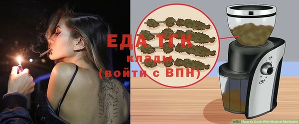индика Армянск