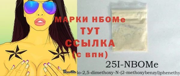 индика Армянск