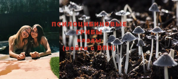 ешки Балахна