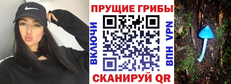 Псилоцибиновые грибы ЛСД  где купить наркоту  hydra tor  Колпашево 